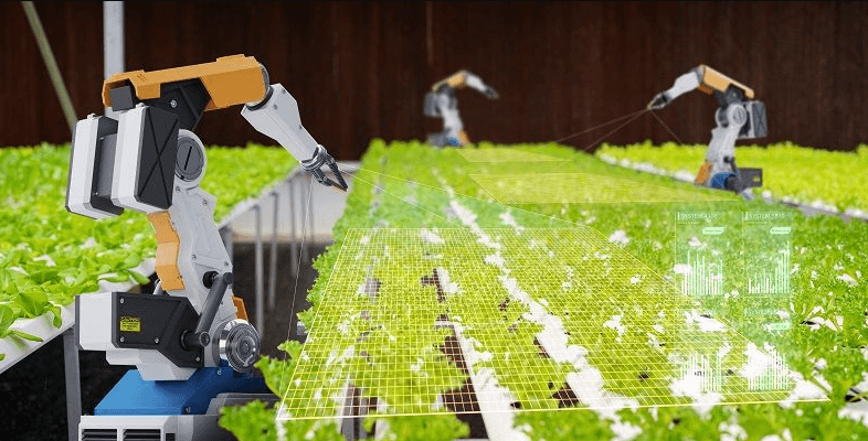 Automation for Sustainable Growth