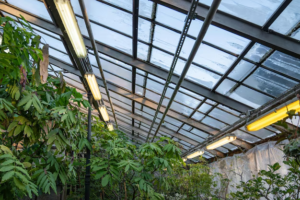 Roof Lanterns for Flat Roofs: Design Ideas and Practical Benefits