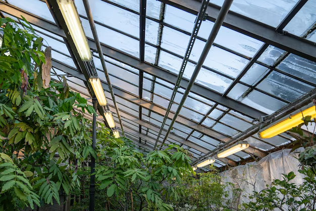 Roof Lanterns for Flat Roofs: Design Ideas and Practical Benefits